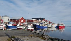 Fartøy leverer på Lofoten Viking , Værøy